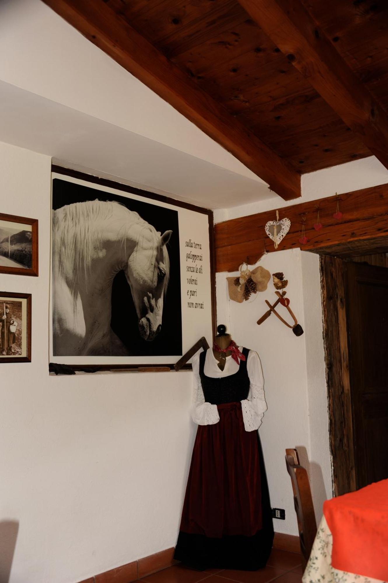Agriturismo Randis 피아노 다르타 외부 사진