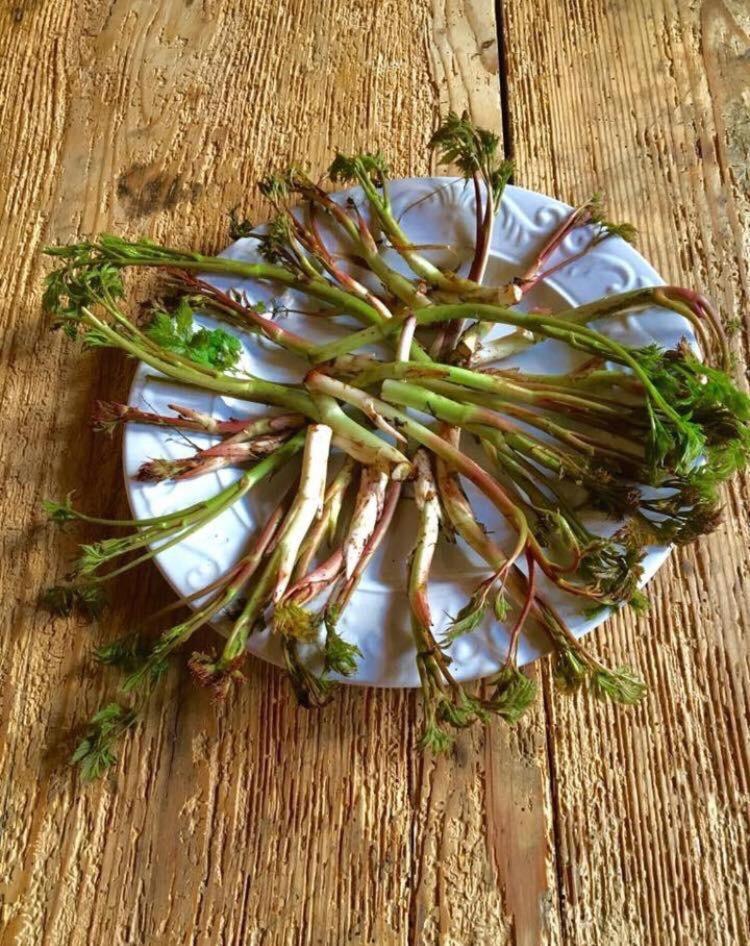 Agriturismo Randis 피아노 다르타 외부 사진