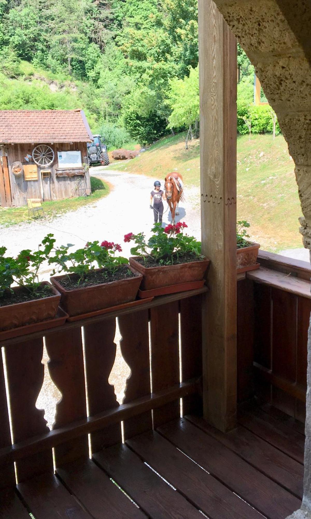 Agriturismo Randis 피아노 다르타 외부 사진