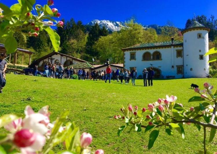 Agriturismo Randis 피아노 다르타 외부 사진