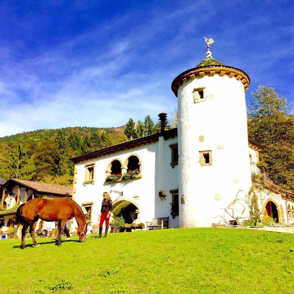 Agriturismo Randis 피아노 다르타 외부 사진